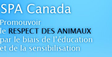 SPA Canada - Actions, activities and demos.