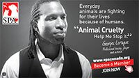 I Help Animals Website I Help Animals Website
