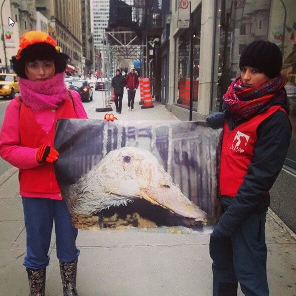 two people showing the posterof animal